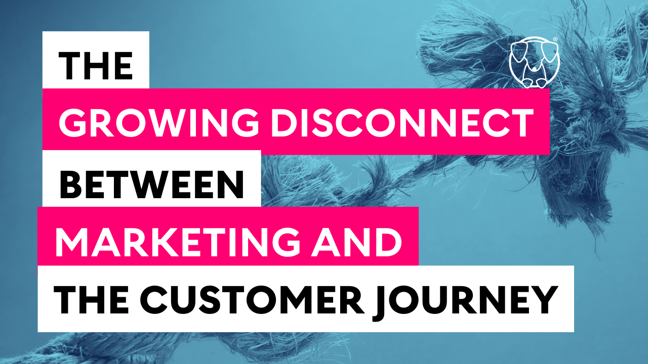 Blog-Title-The-growing-disconnect-between-marketing-and-the-customer-journey-background-rope-fraying-blue-overlay-hot-dog-marketing