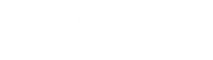 Government Work 7 texas anto logo 1 300x85 1